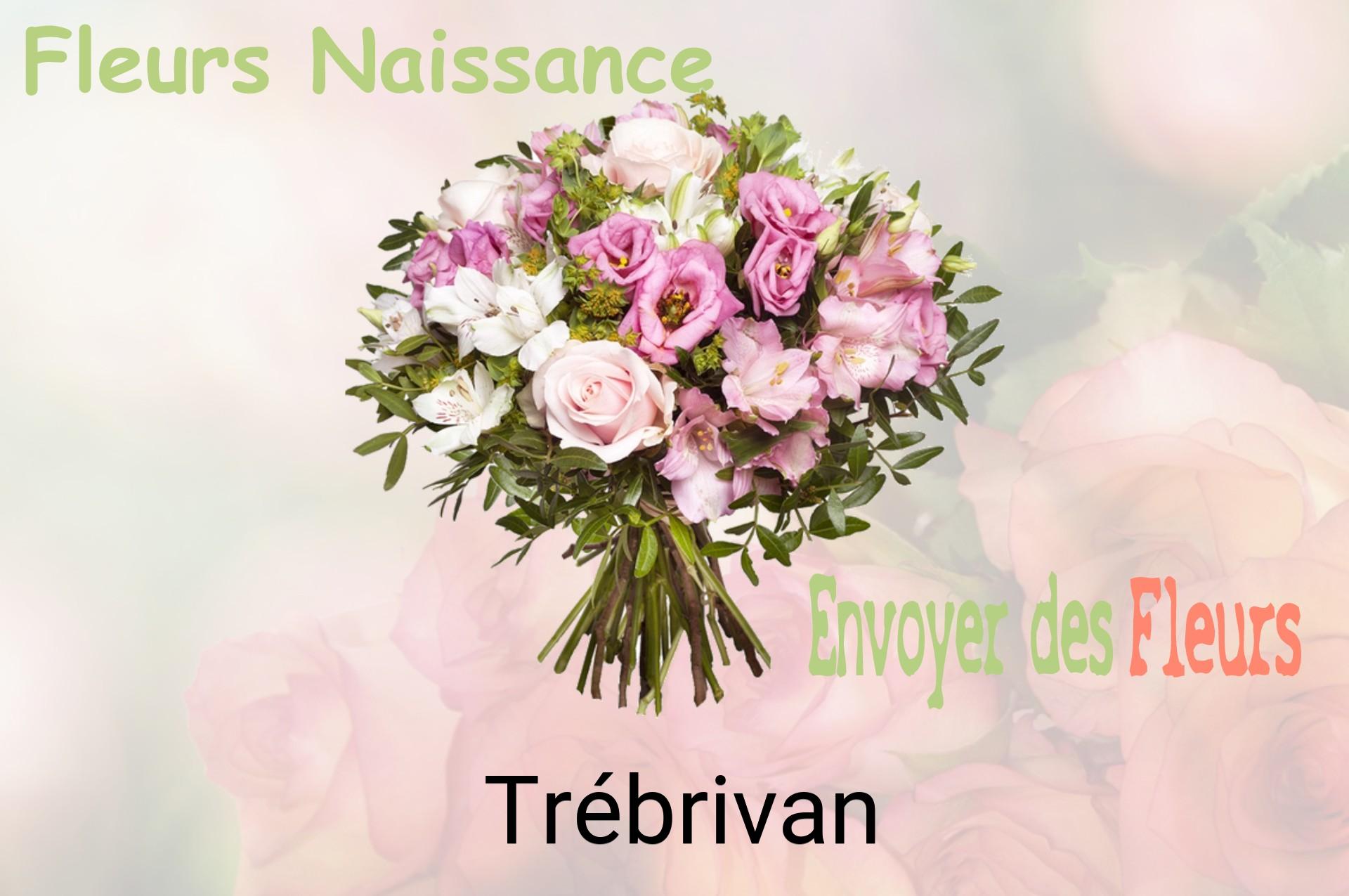 Bouquet de fleurs de naissance livré à Trébrivan