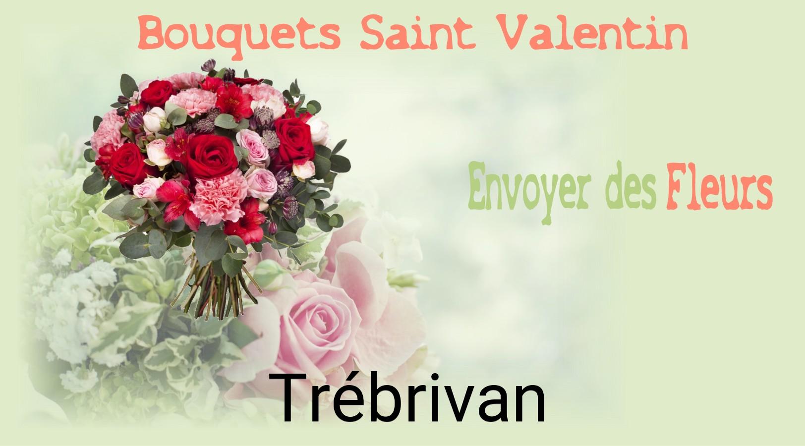 Roses de Saint-Valentin livrées à Trébrivan