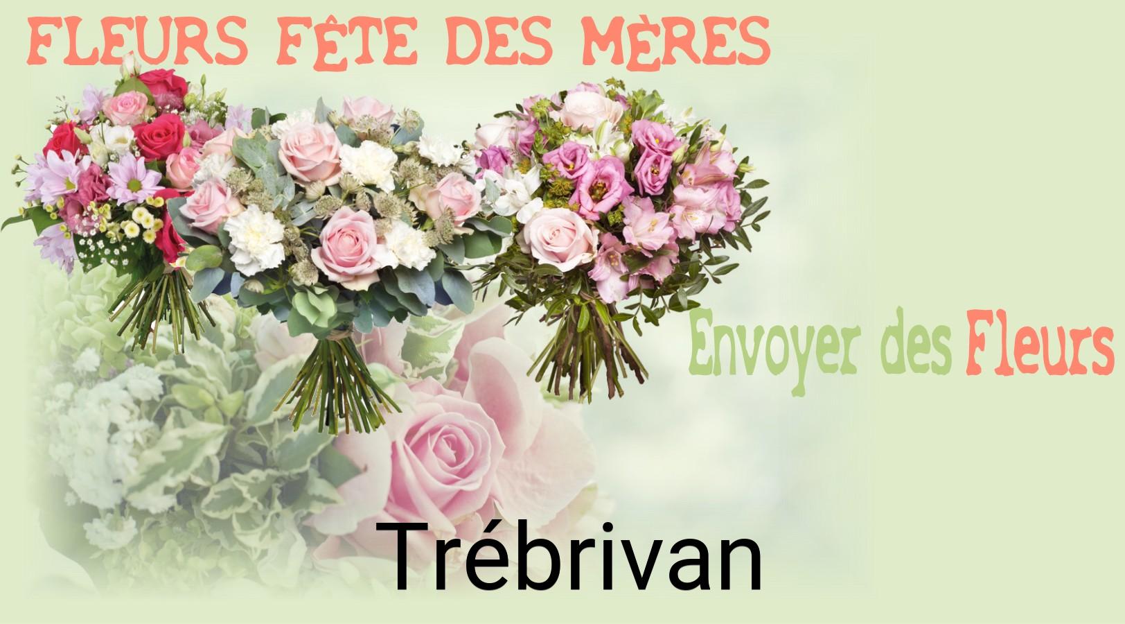Bouquet de Fête des Mères livré à Trébrivan